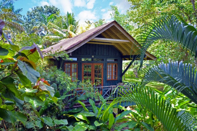 Tree Top Deluxe Accommodations at Sunset At The Palms in Negril, Jamaica