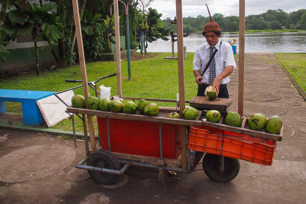Costa Rica Coconut Man