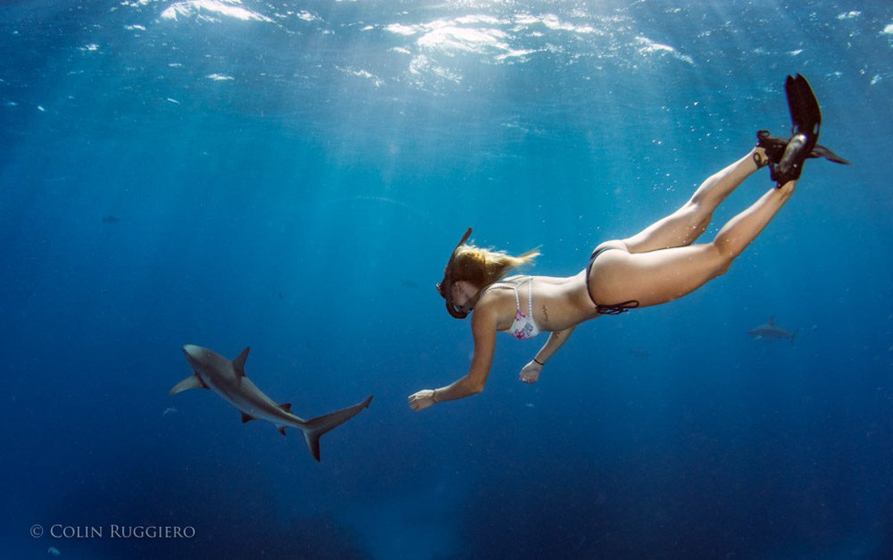 Shark Week, Exuma style | Colin Ruggiero