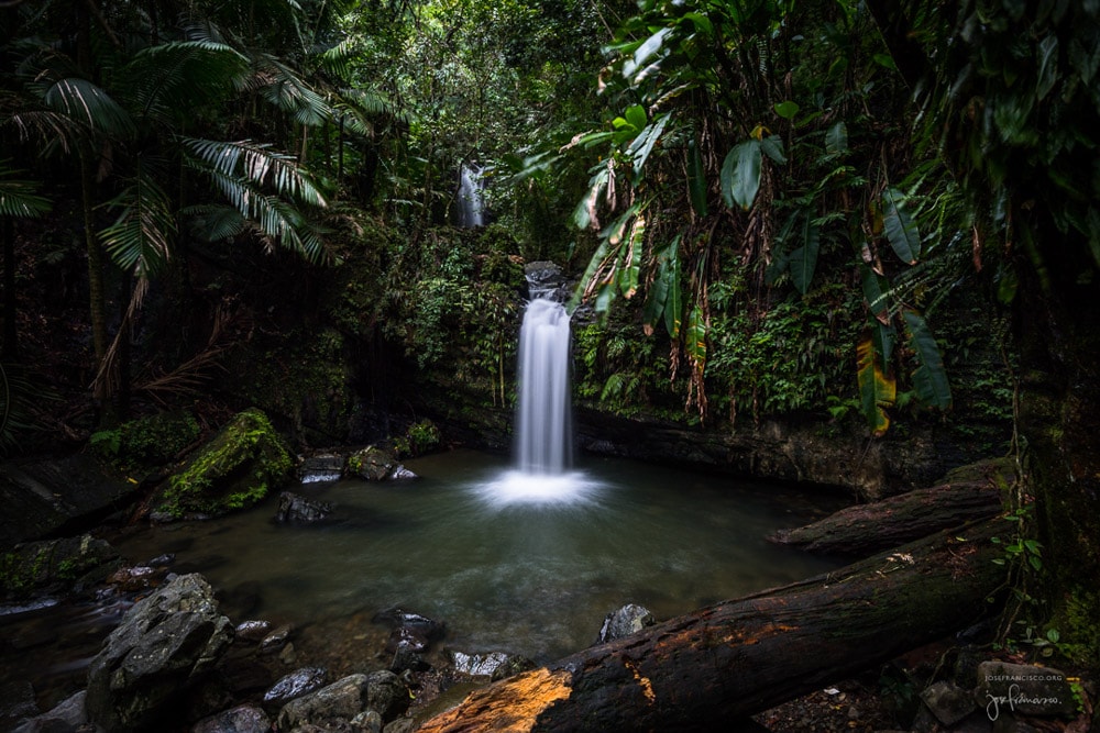 El Yunque Waterfall, Puerto Rico | Credit: Jose Francisco, PhD