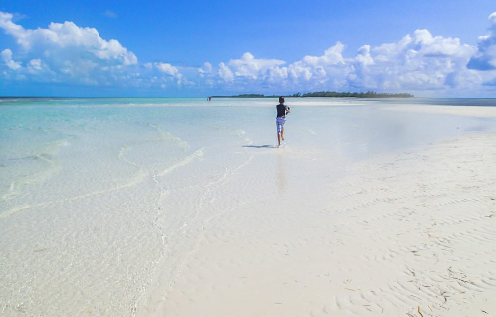 Sandbar running in Bimini, The Bahamas
