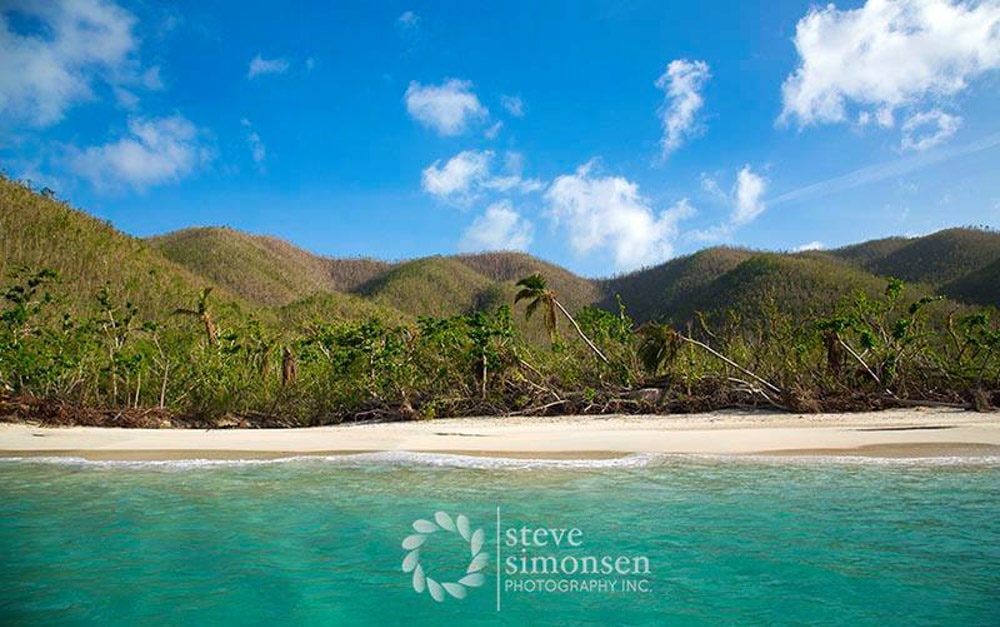 Healing Cinnamon Bay, St. John | Photo credit: Steve Simonsen