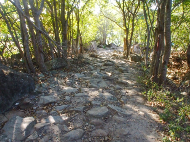 This way to Pain de Sucre, Guadeloupe