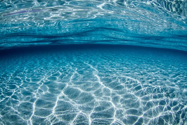 Undersea Blues in The Bahamas | Photo credit: Zach Stadler