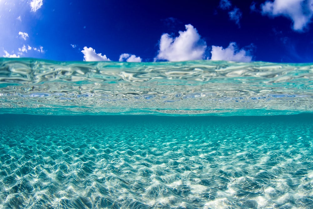 Crystal Clear Bahamas | Photo credit: Zach Stadler