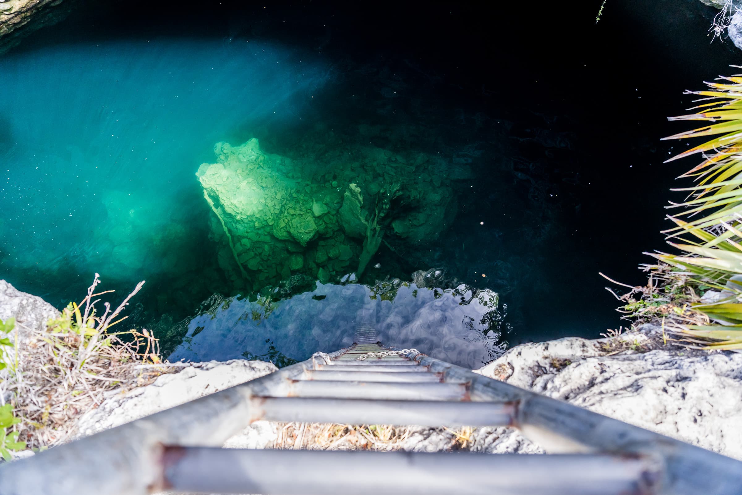 Owl's Hole entrance by Patrick Bennett