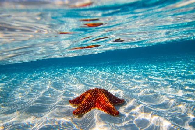 Sandy Bottom Somewhere in The Bahamas | Photo credit: Zach Stadler