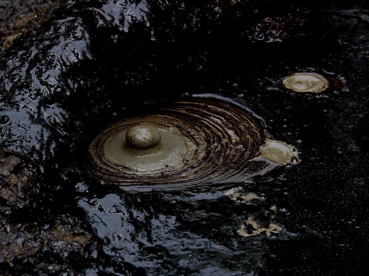 Marac Mud Volcano in Moruga, Trinidad