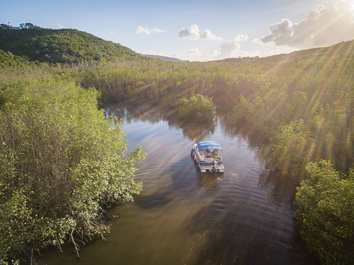 Big Beard's Salt River, St. Croix Tour by Patrick Bennett