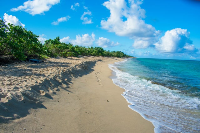 Dorsch Beach, Frederiksted, St. Croix – December 19, 2017 | SBPR