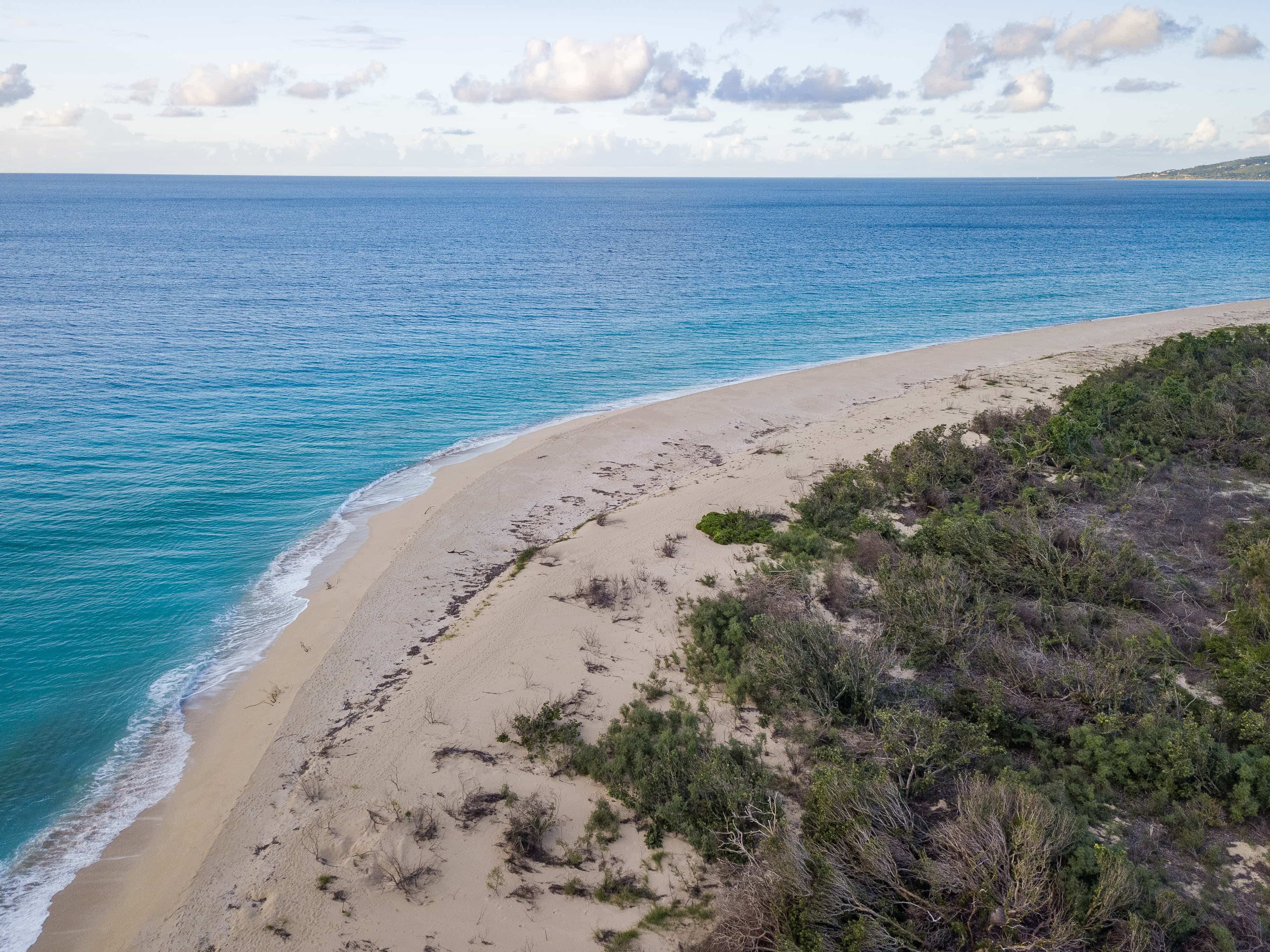 Sandy Point, St. Croix still plenty sandy | Credit: Patrick Bennett