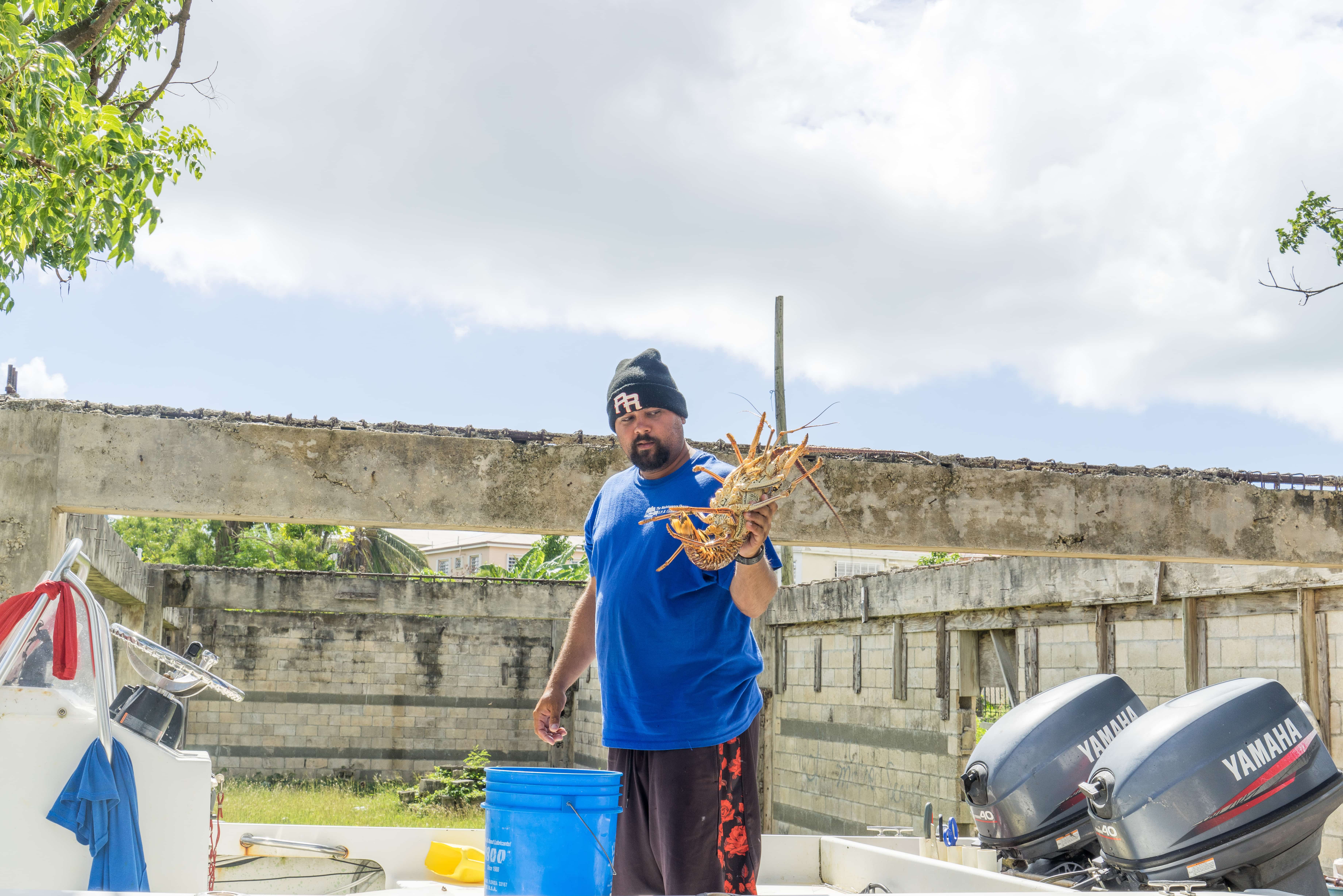 St Croix - Fish Market by Patrick Bennett