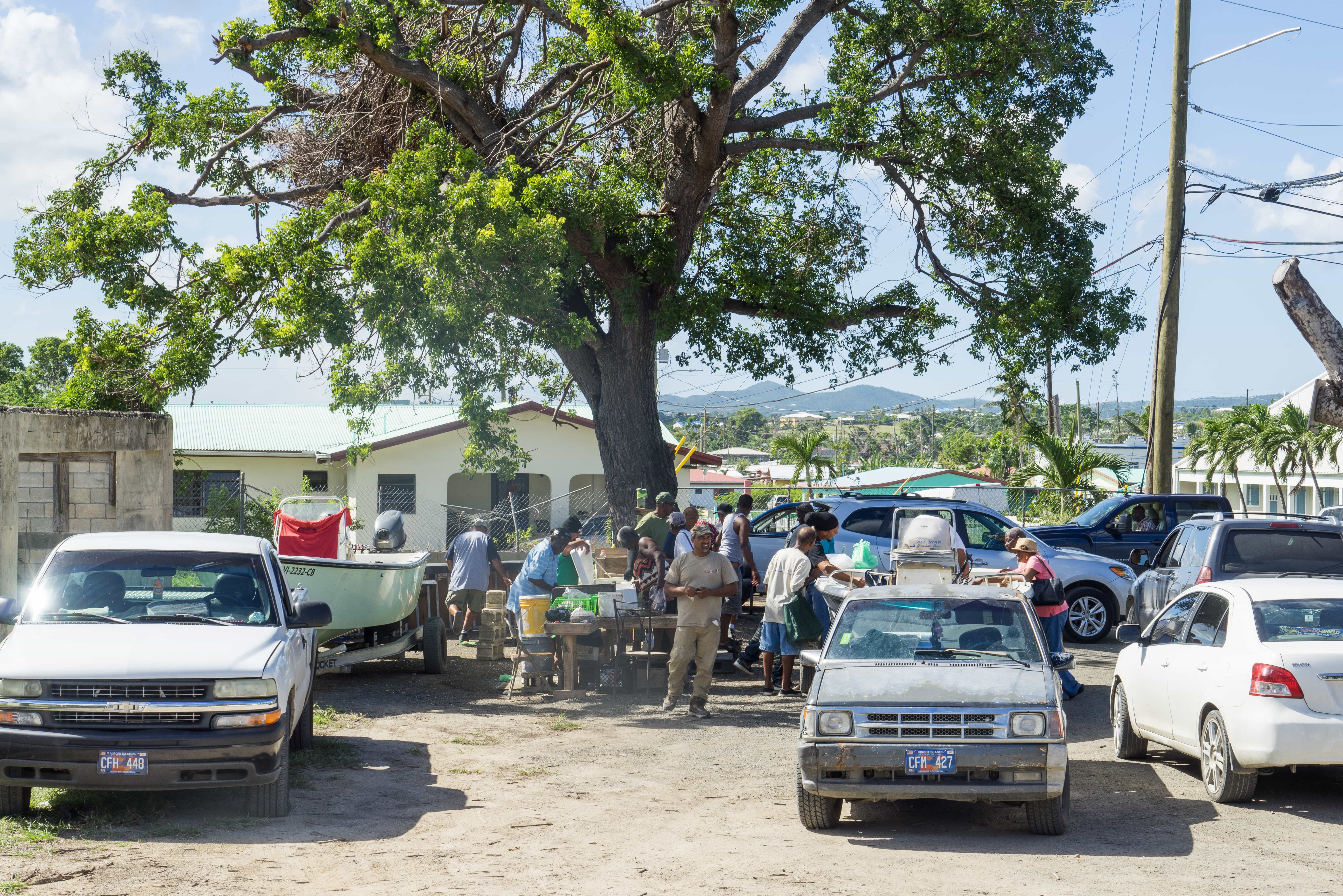 St Croix - Fish Market by Patrick Bennett