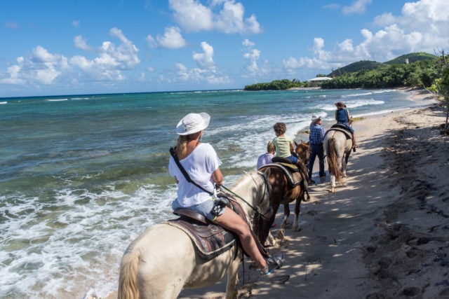 St. Croix - Horseback Riding Cowboy Steve