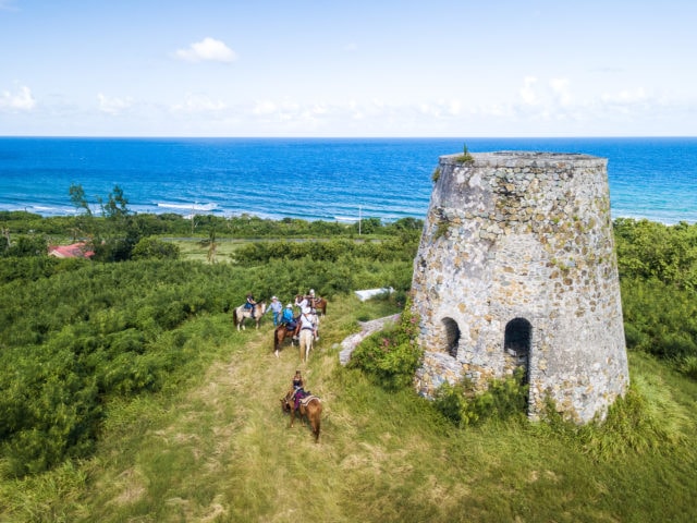 St. Croix - Horseback Riding Cowboy Steve