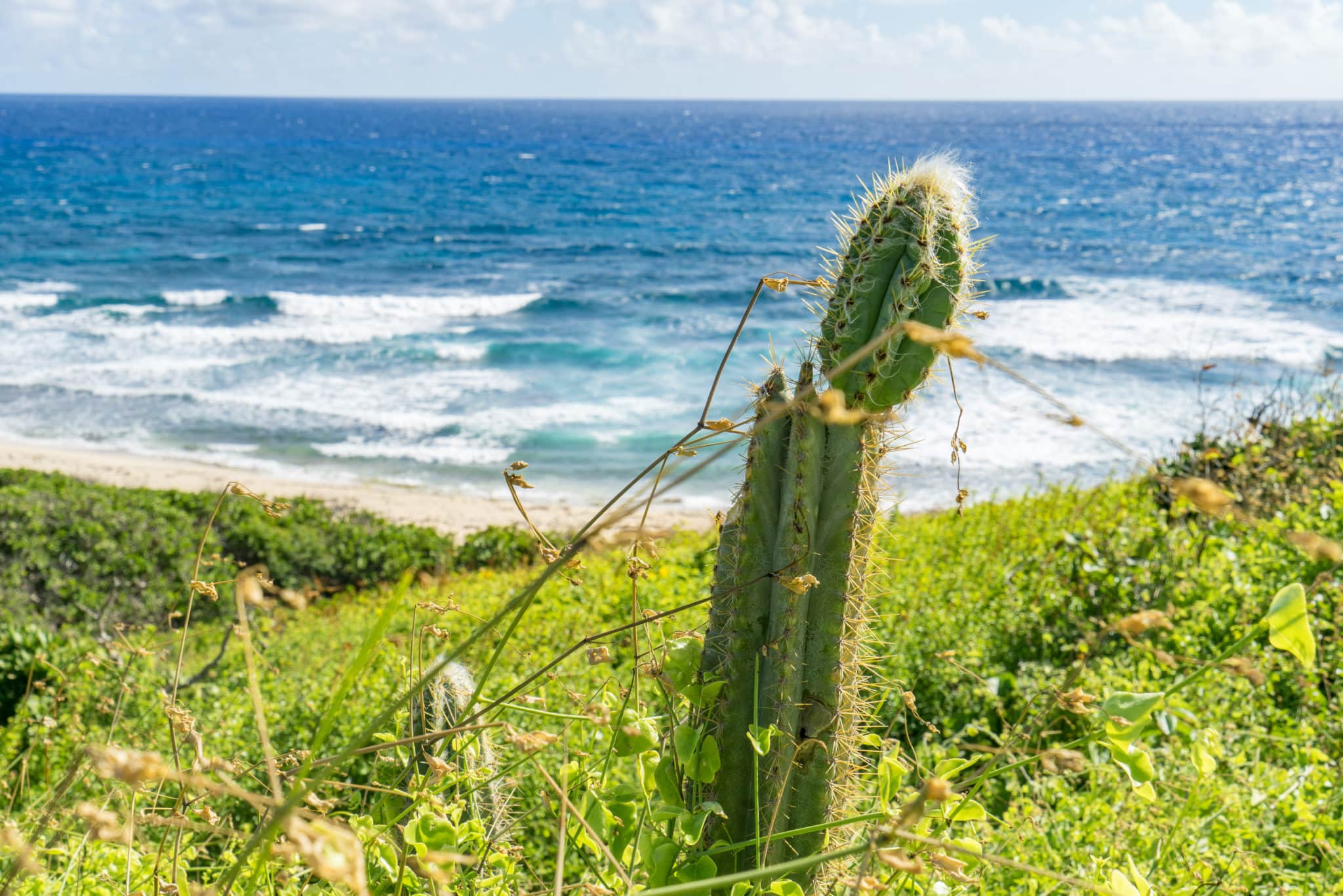 St. Croix - Jack and Isaac Bays Preserve