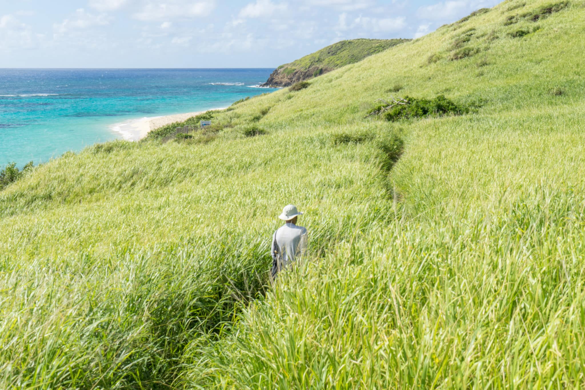 St. Croix - Jack and Isaac Bays Preserve