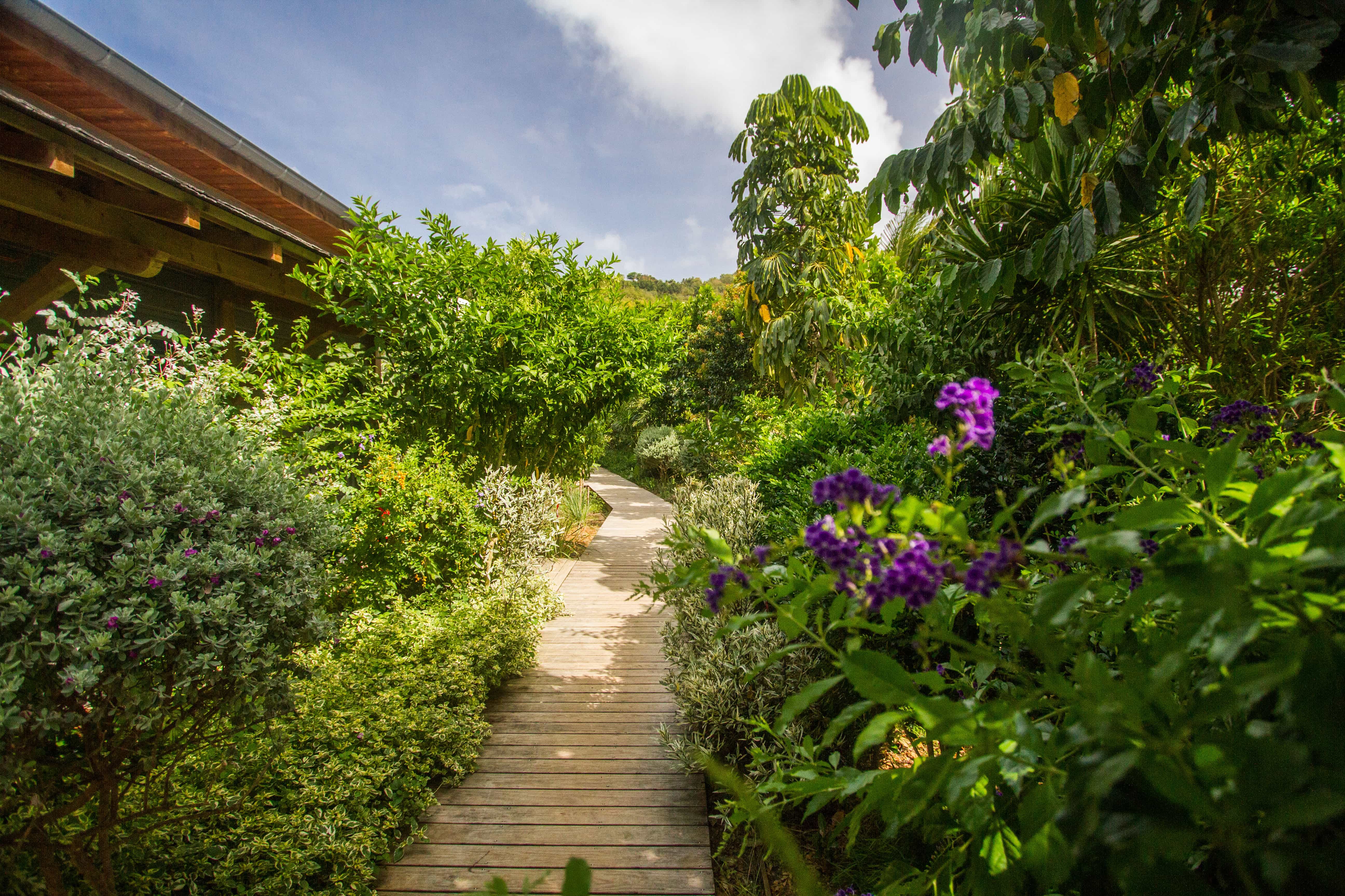 French Coco lush gardens, Martinique