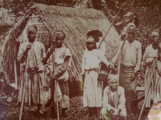 Vintage Photo at La Savane des Esclaves, Martinique | SBPR