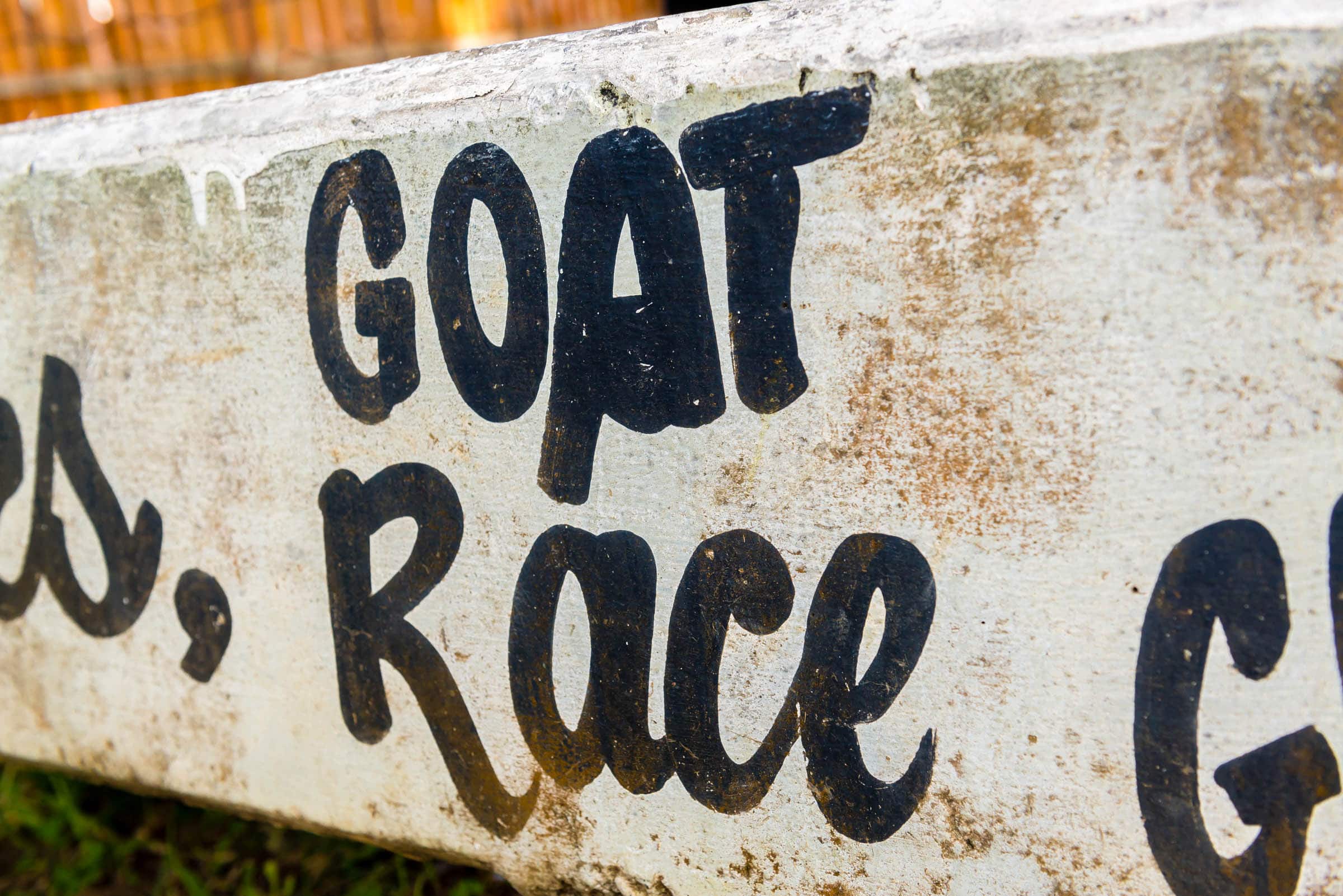 Buccoo Goat Race Festival