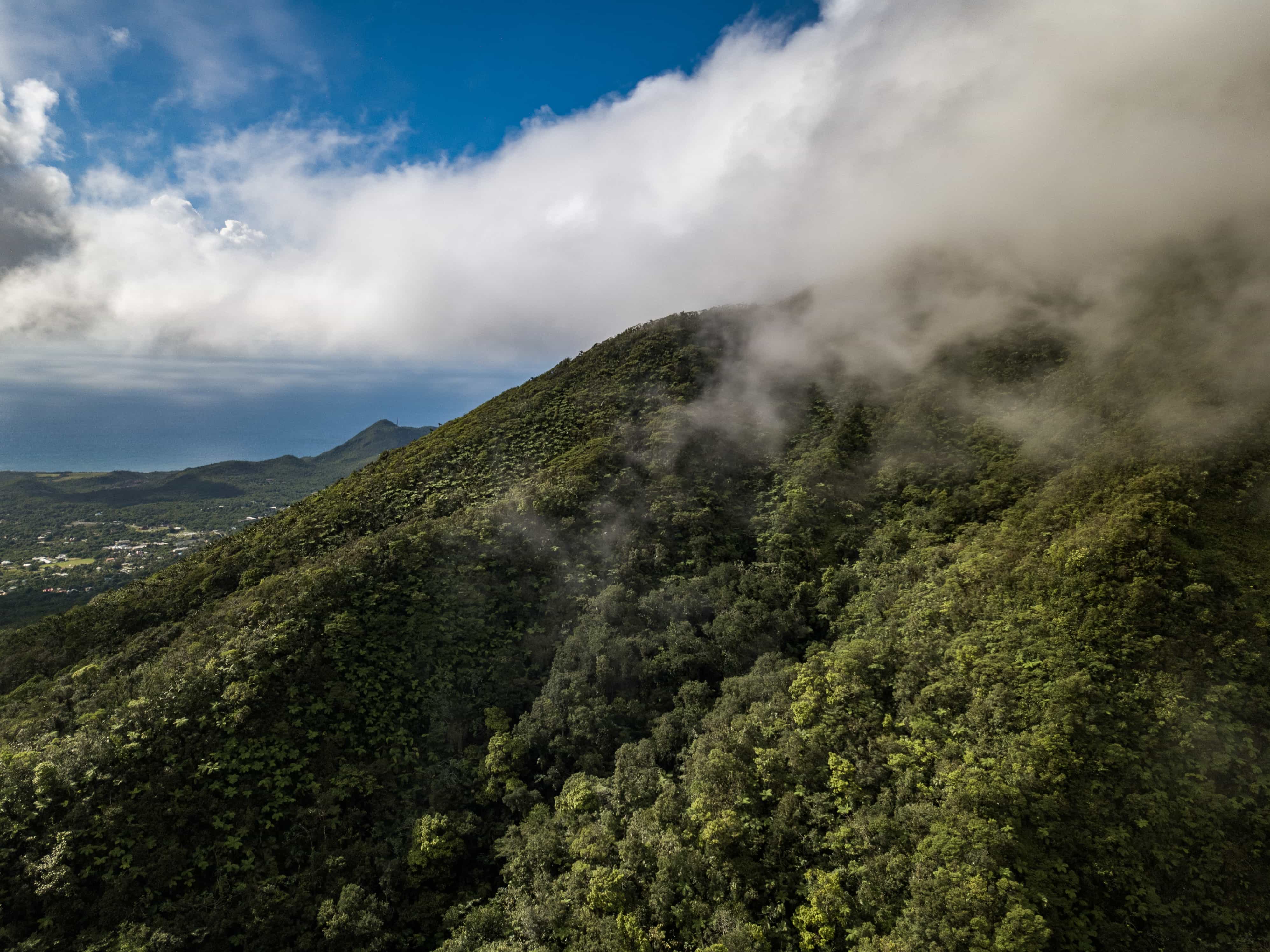 Nevis waterfalls - above the green canopy