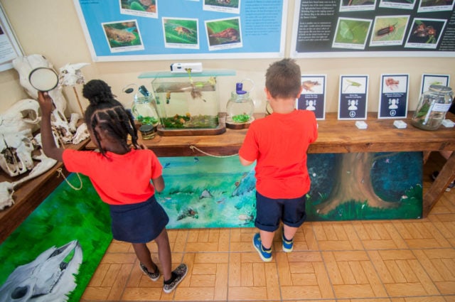 Students at the old Amuseum Naturali