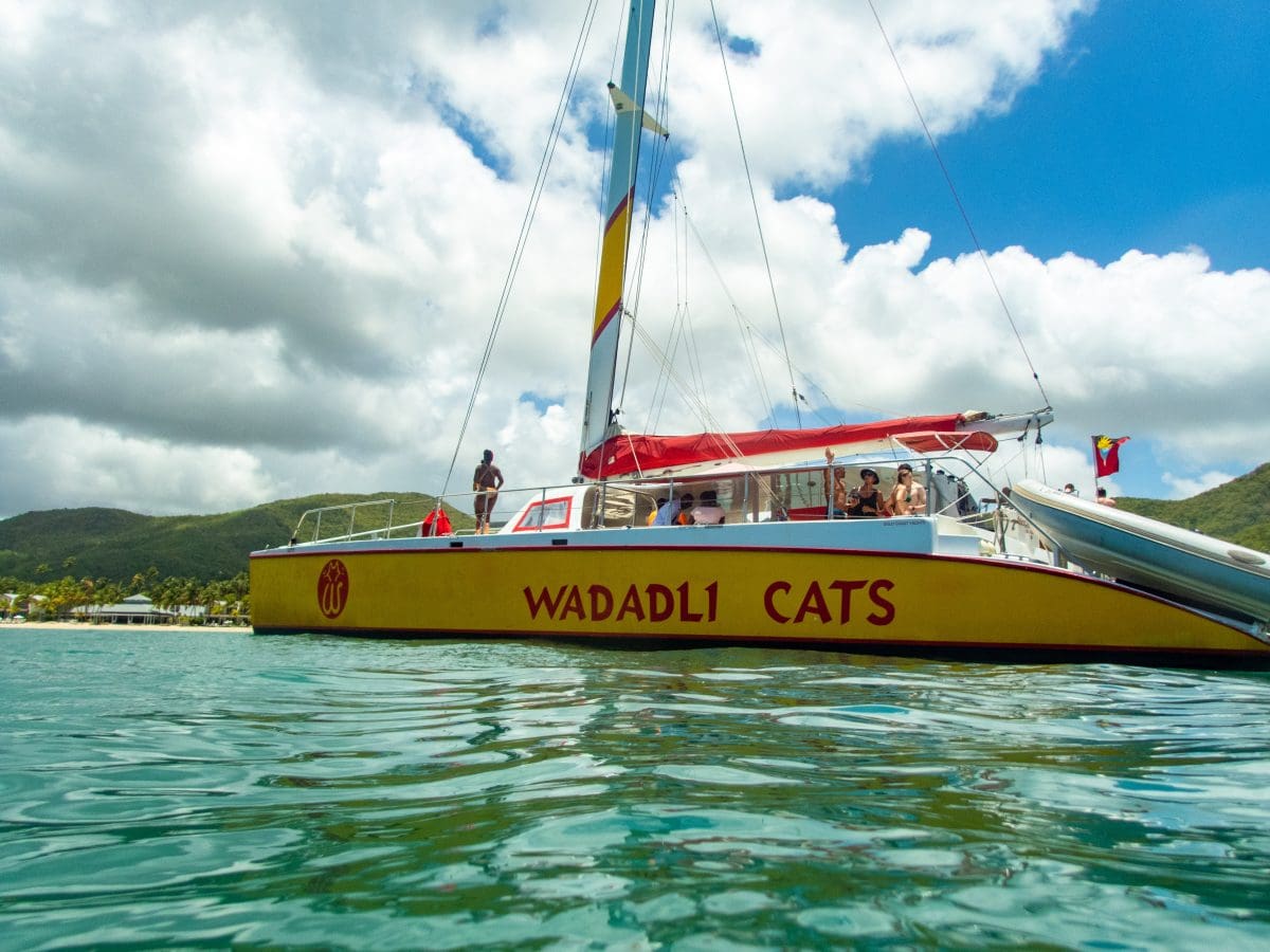 Wadadli Cat, Antigua | SBPR