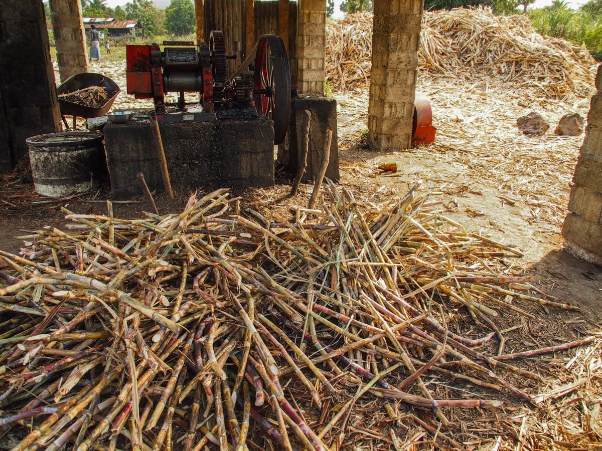 Clairin Rhum Heaven near Cap-Haitien, Haiti | SBPR