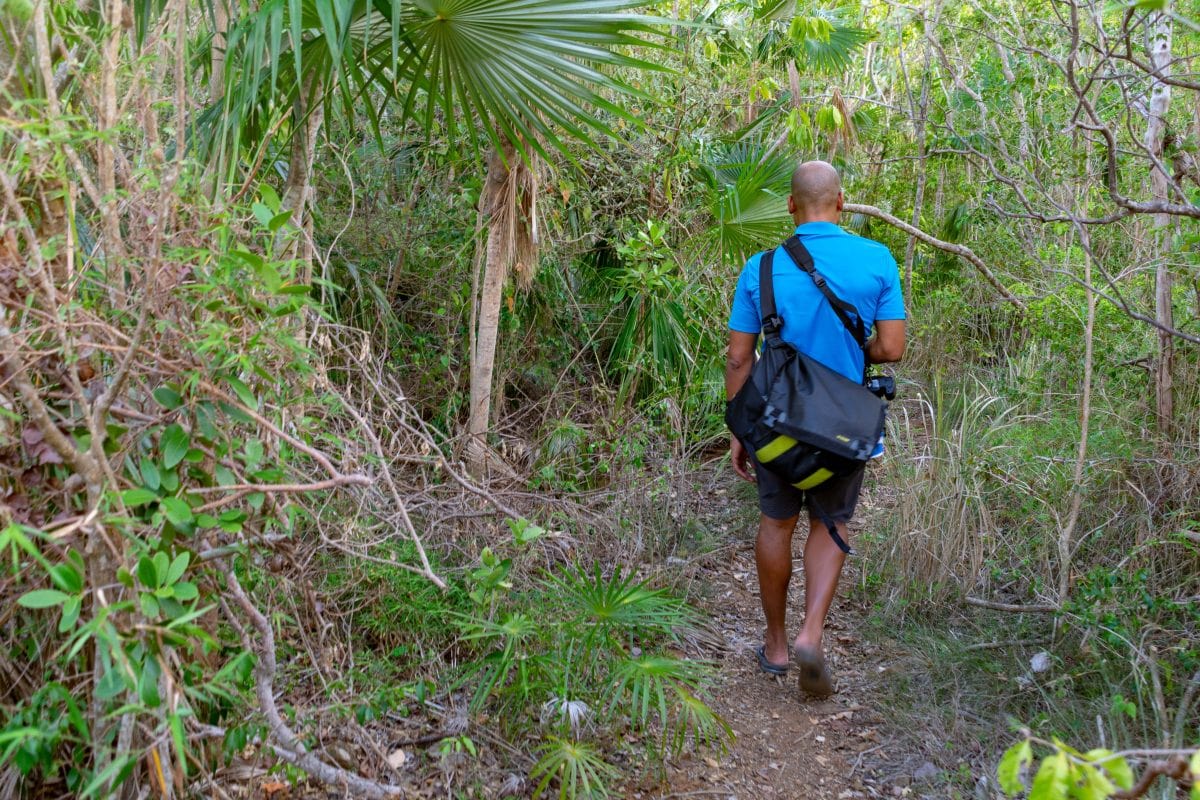 The blind follows the blind on the way to Neltjeberg Bay, St. Thomas