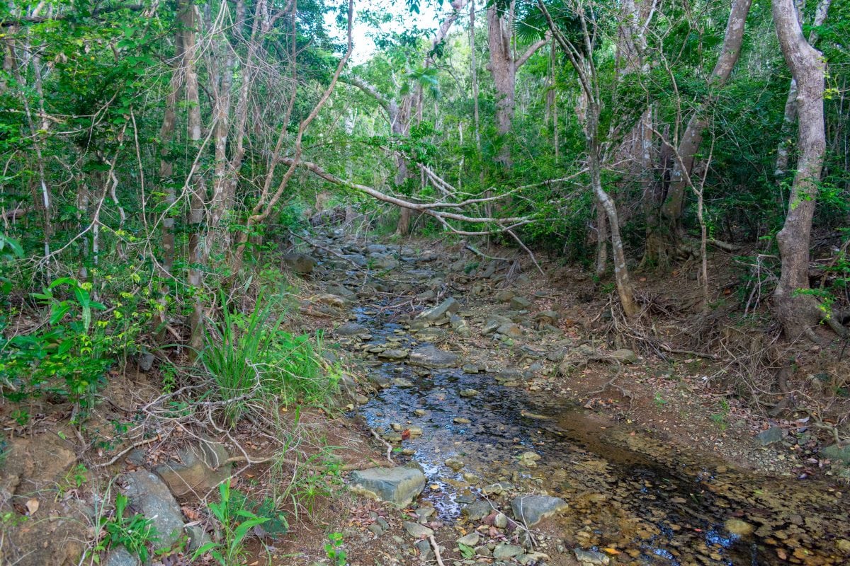 Tiny stream en route to Neltjeberg Bay, St. Thomas | SBPR