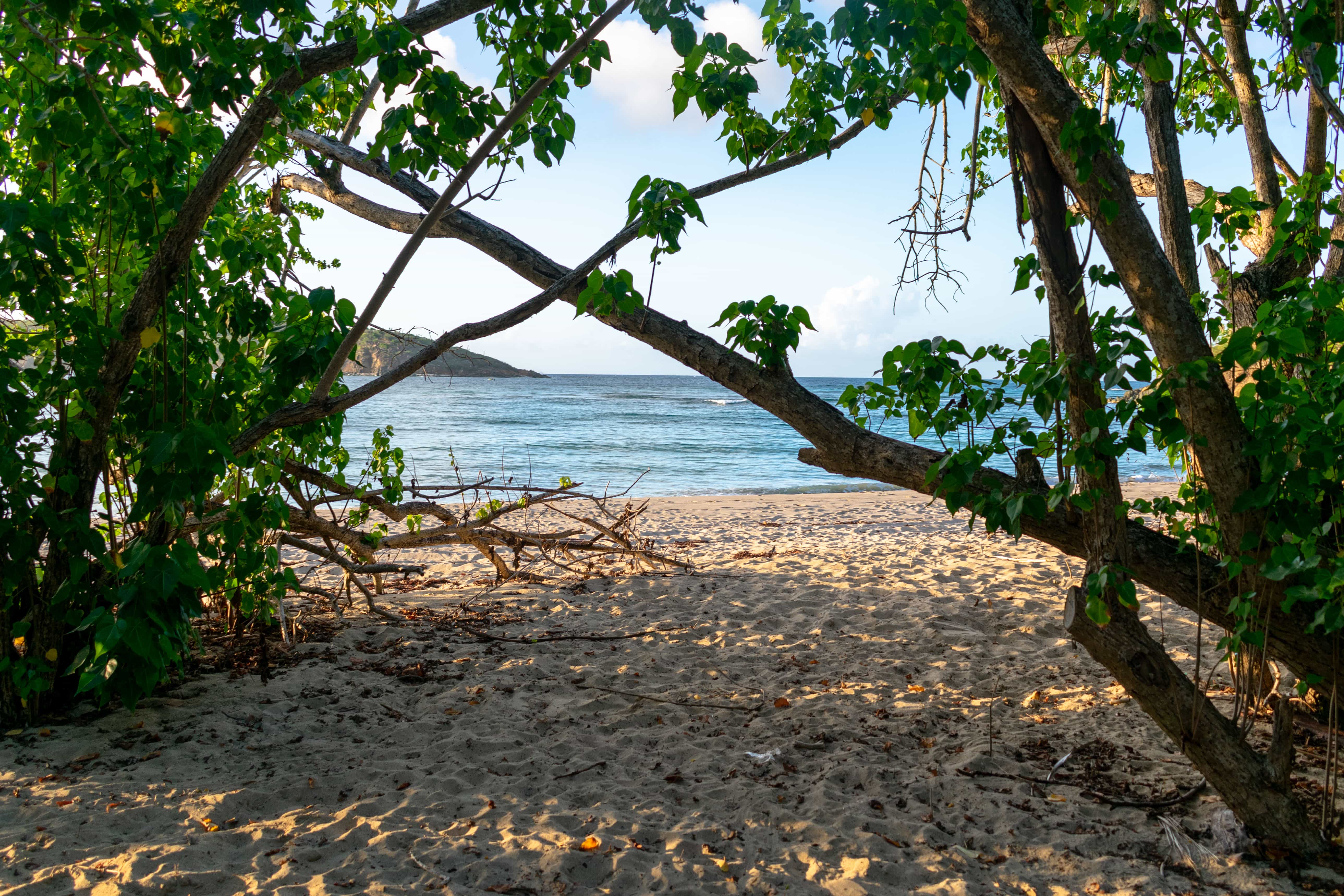 Secret Neltjeberg Beach, St. Thomas | SBPR