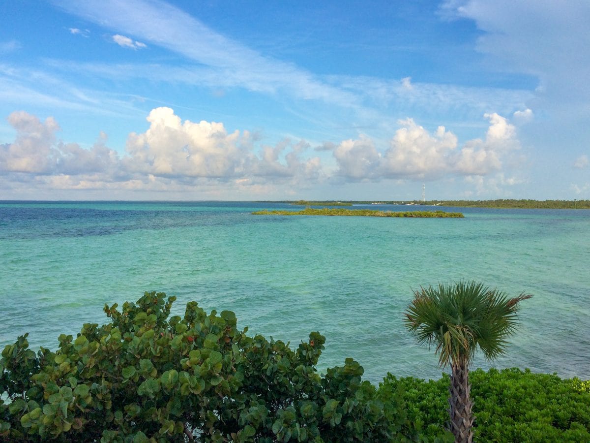 More of my view at Deep Water Cay, The Bahamas | SBPR