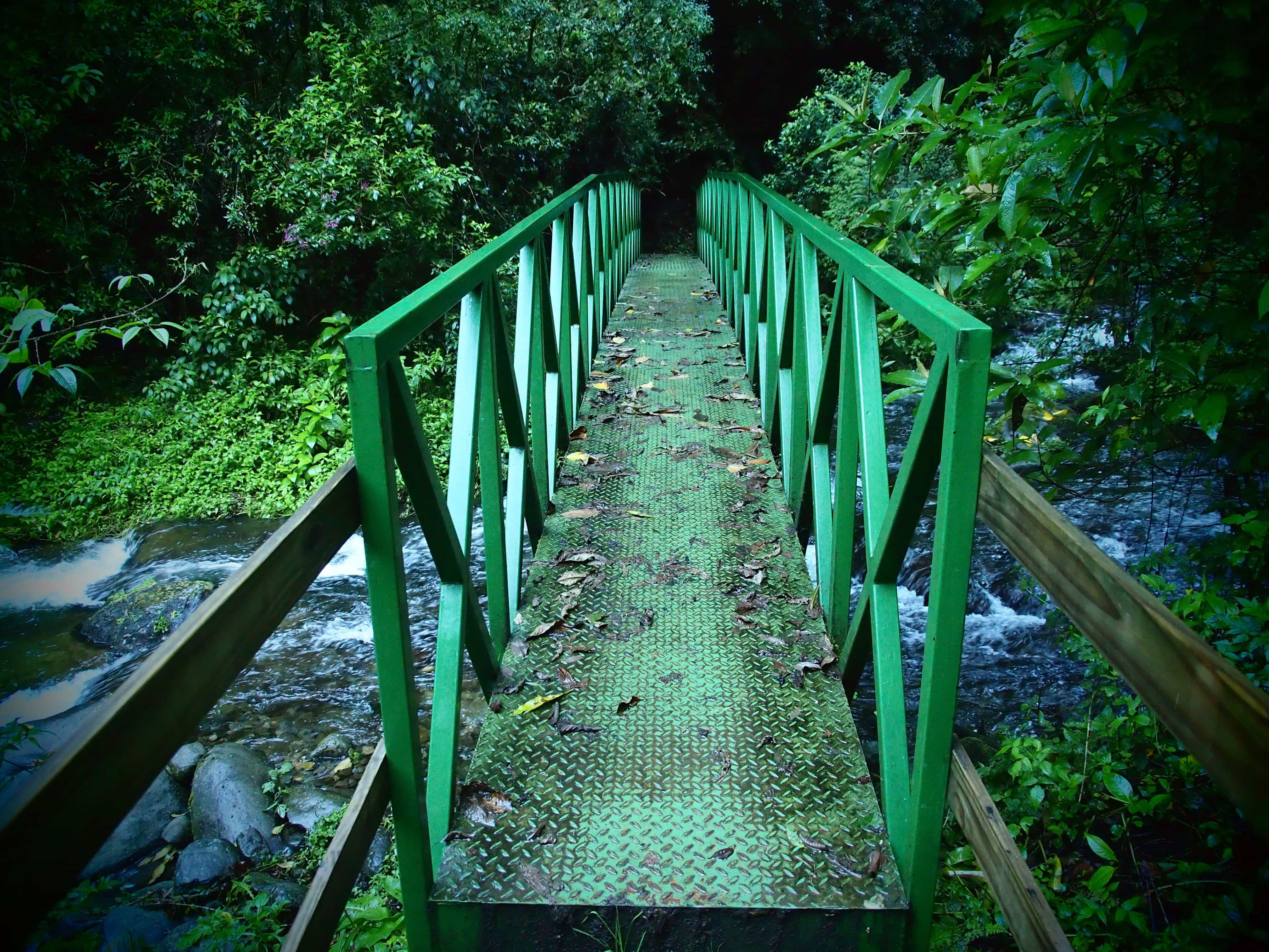 Rainforest bridge, Costa Rica | SBPR