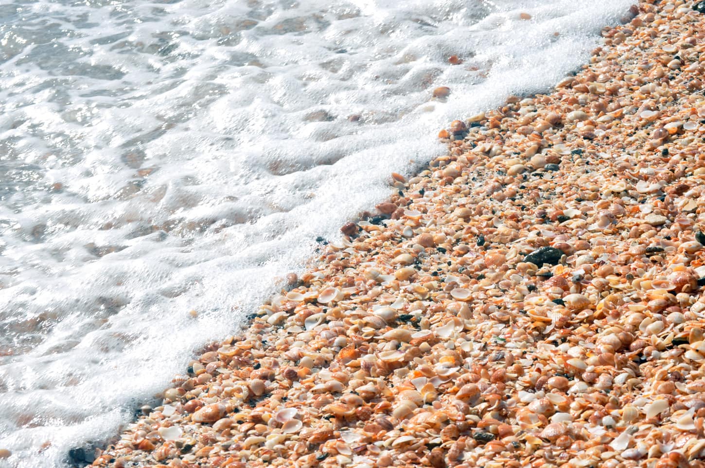 Shell Beach, St. Barts | Credit: Flickr user Susan Smith