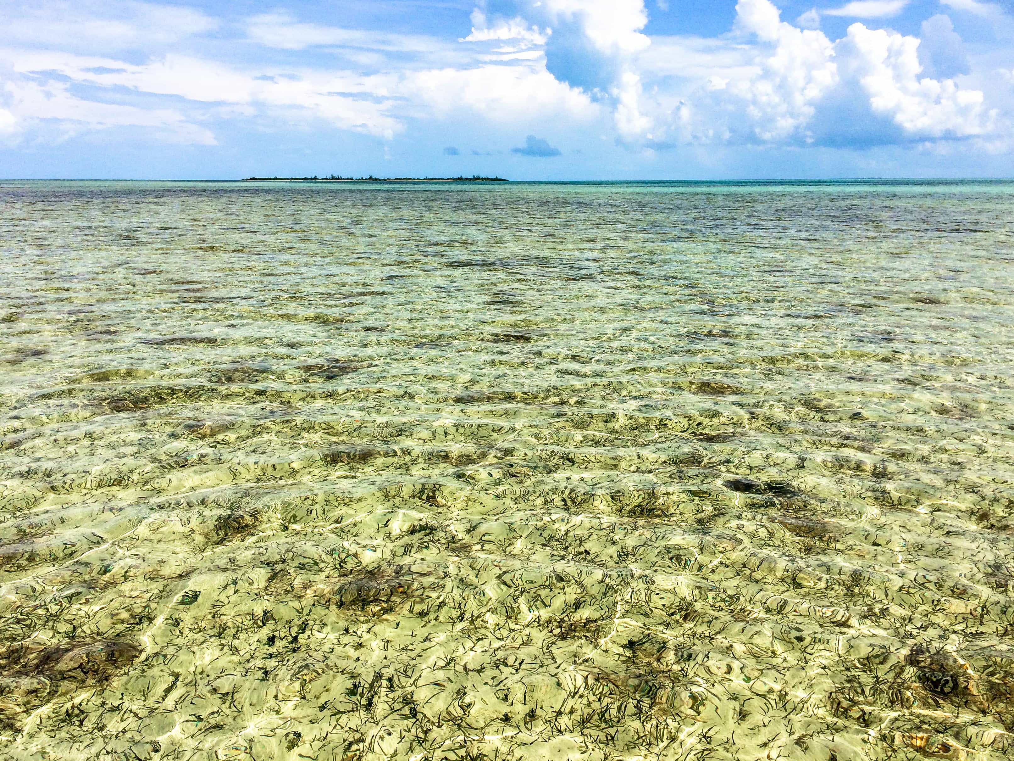 Prime fishing ground near Deep Water Cay, The Bahamas