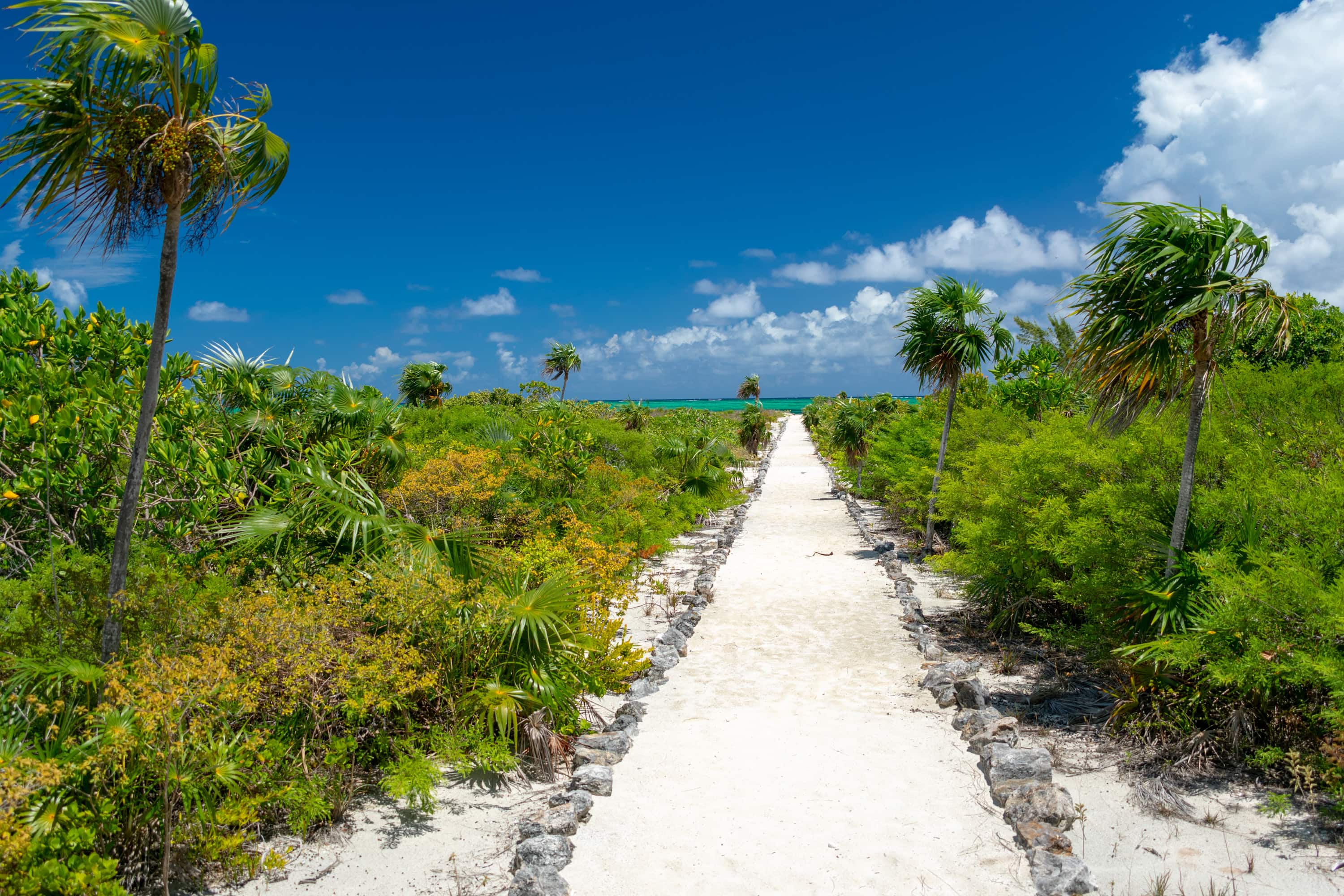 Path to Paradise, North Caicos | SBPR