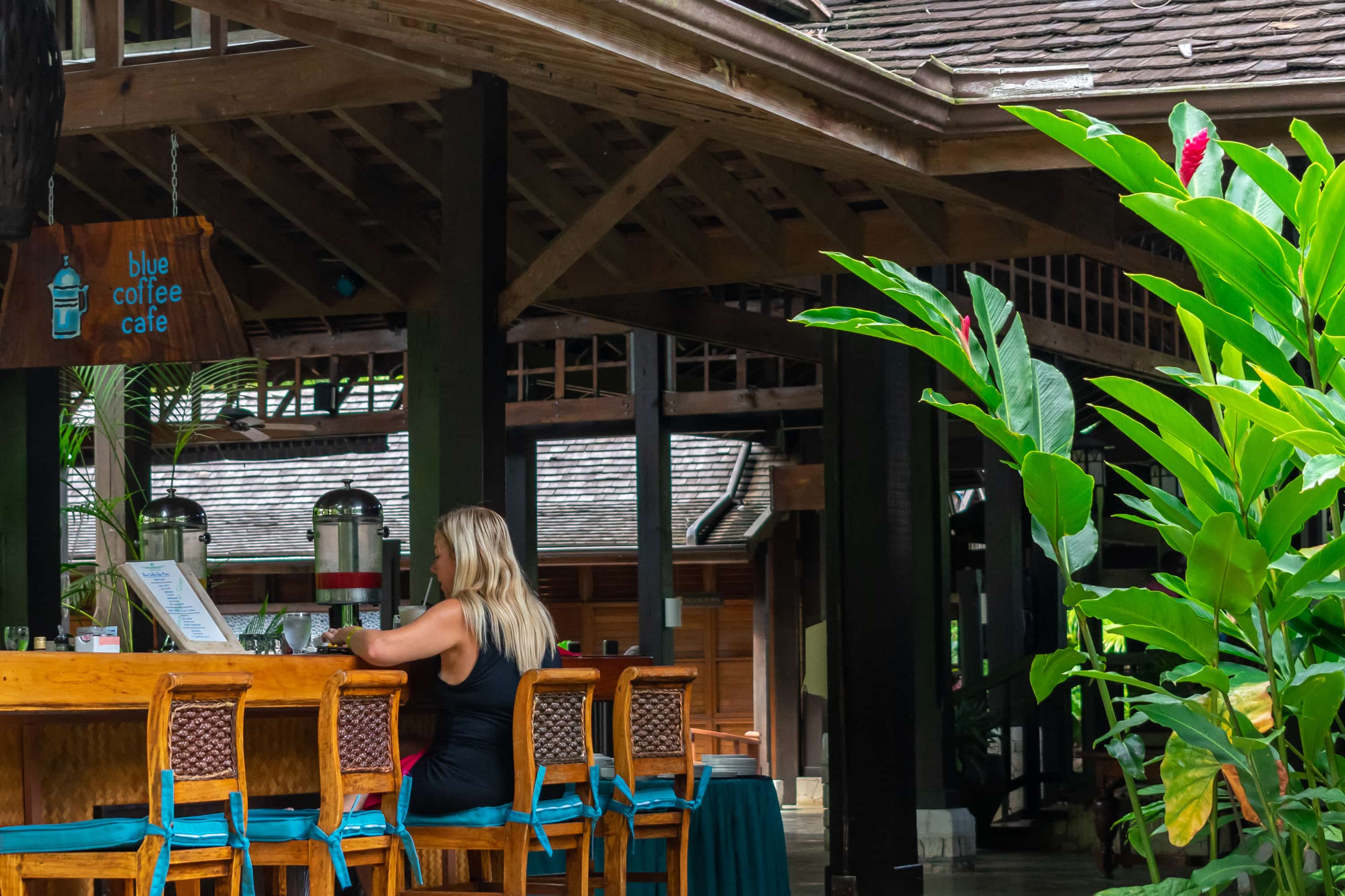 blue mountain coffee tour from negril