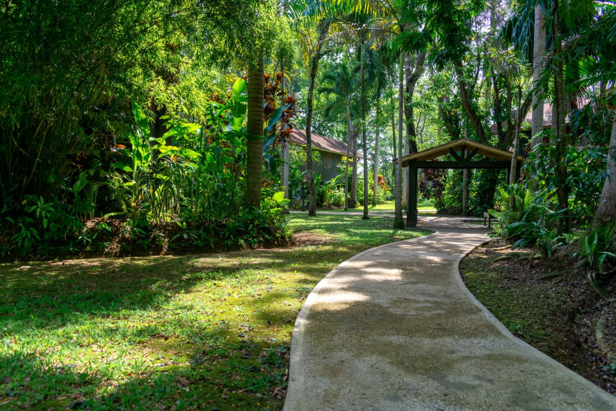 Lush surroundings at Sunset At The Palms, Negril, Jamaica | SBPR