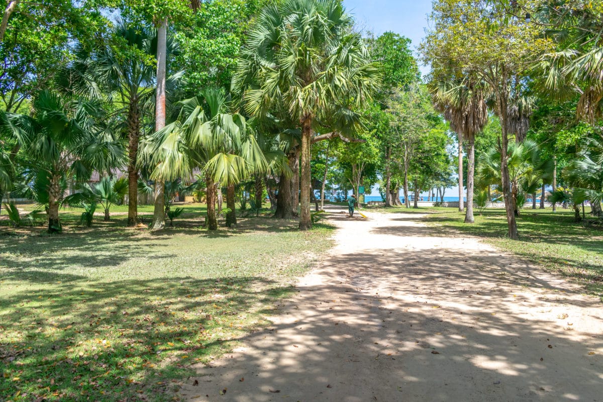 Right This Way To Bloody Bay, Negril | SBPR