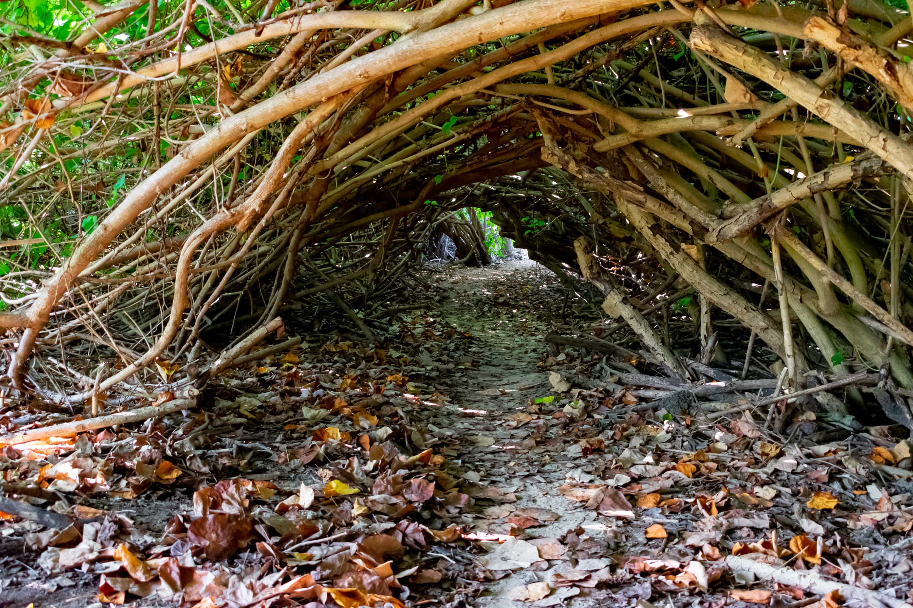 Shoys Beach Tunnel Of Love, St. Croix | SBPR