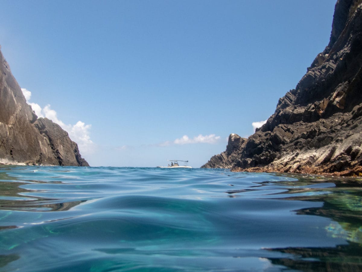 Captain Thomas cooling in Cave Cove, Outer Brass Island, St. Thomas | SBPR