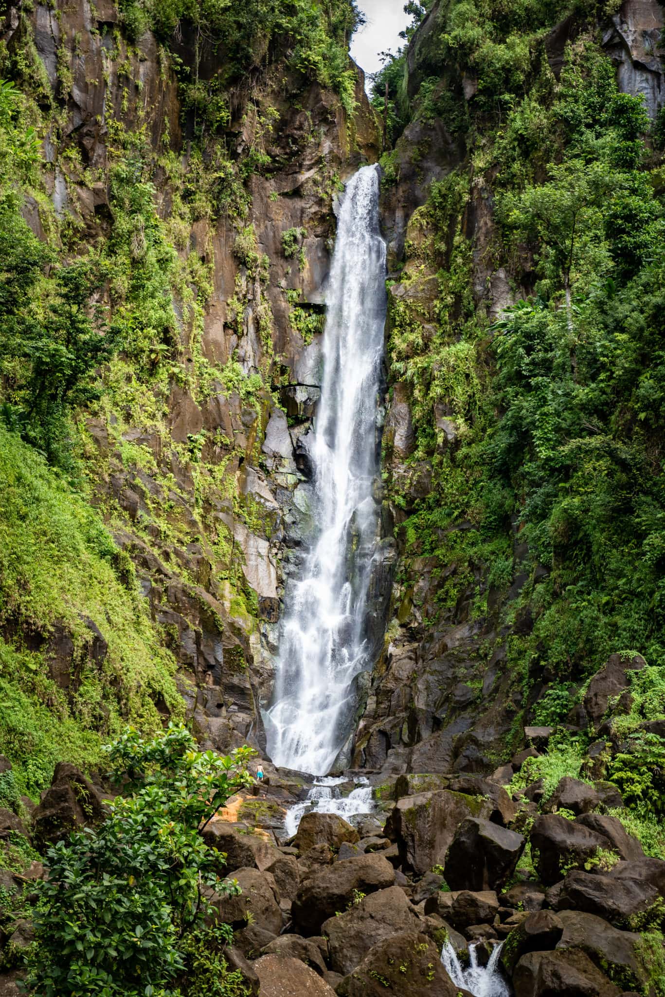 Papa at Trafalgar Falls, Dominica