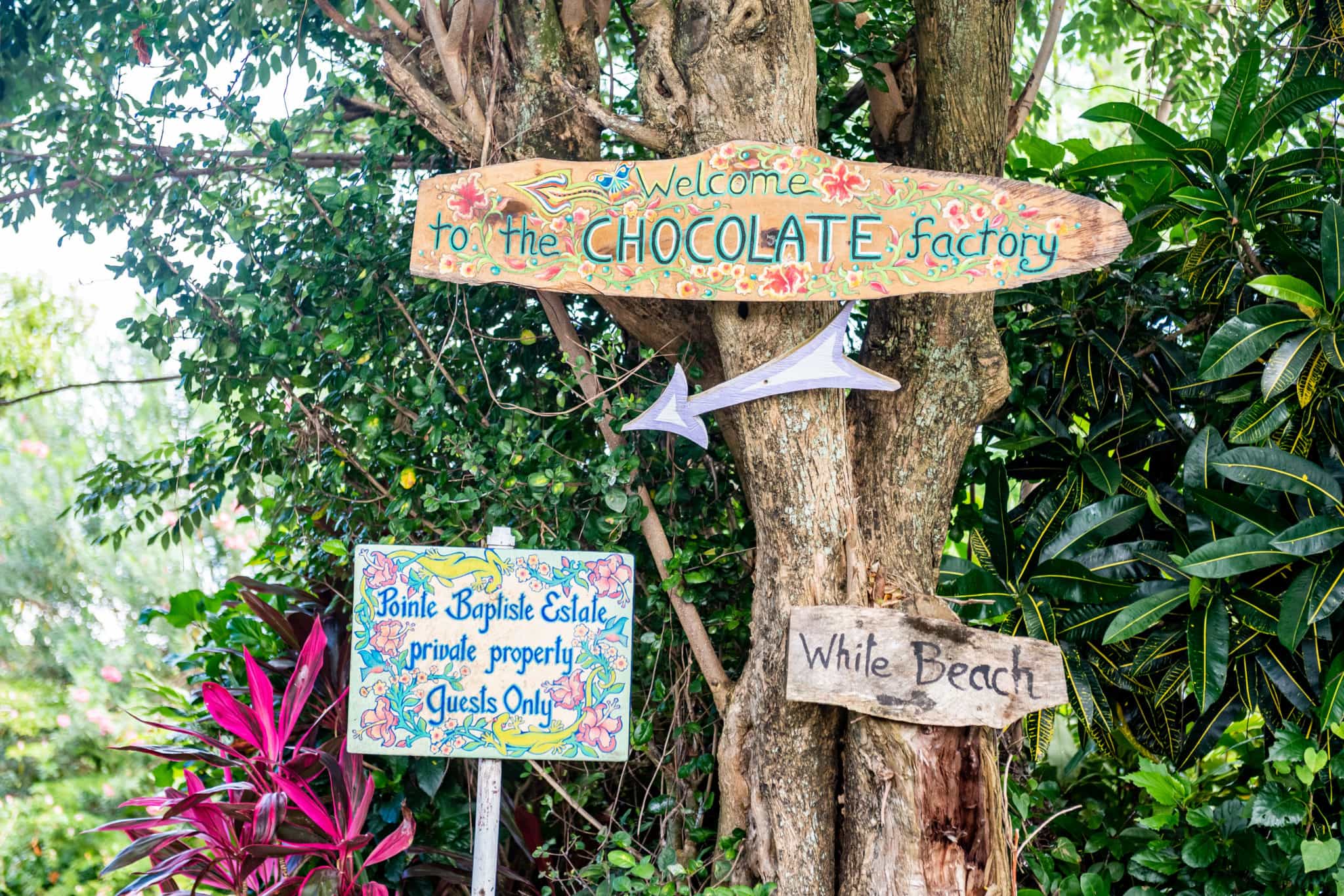Pointe Baptiste Estate Chocolate Factory