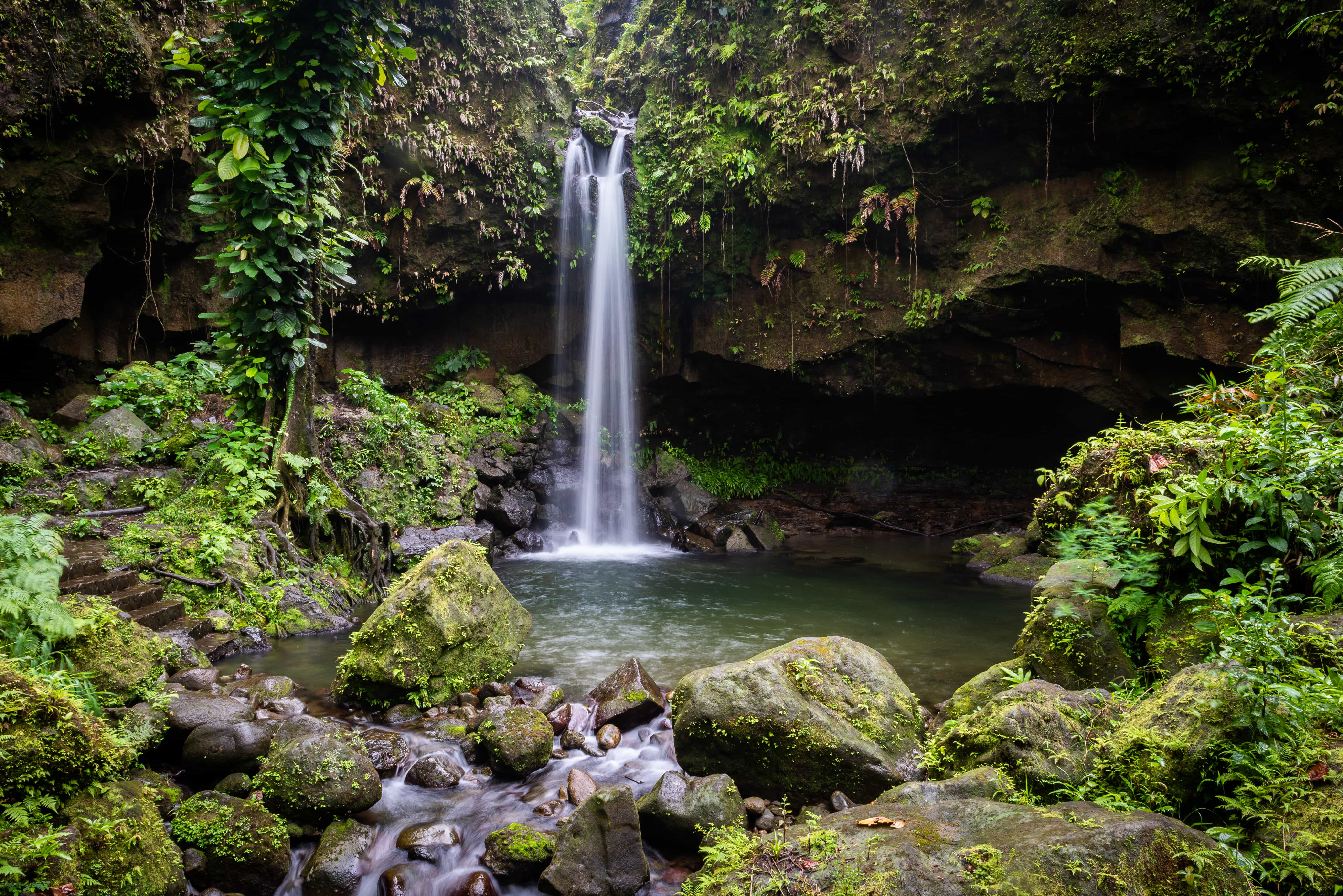 Emerald Pool Waterfall Dominica