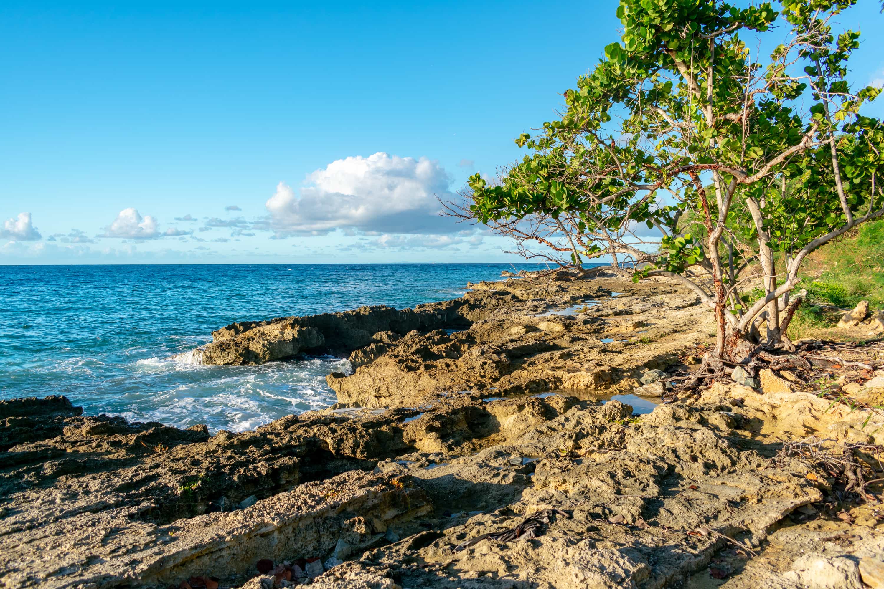 The Surprising Slave History and Mystical Legend of Statia Blue Beads