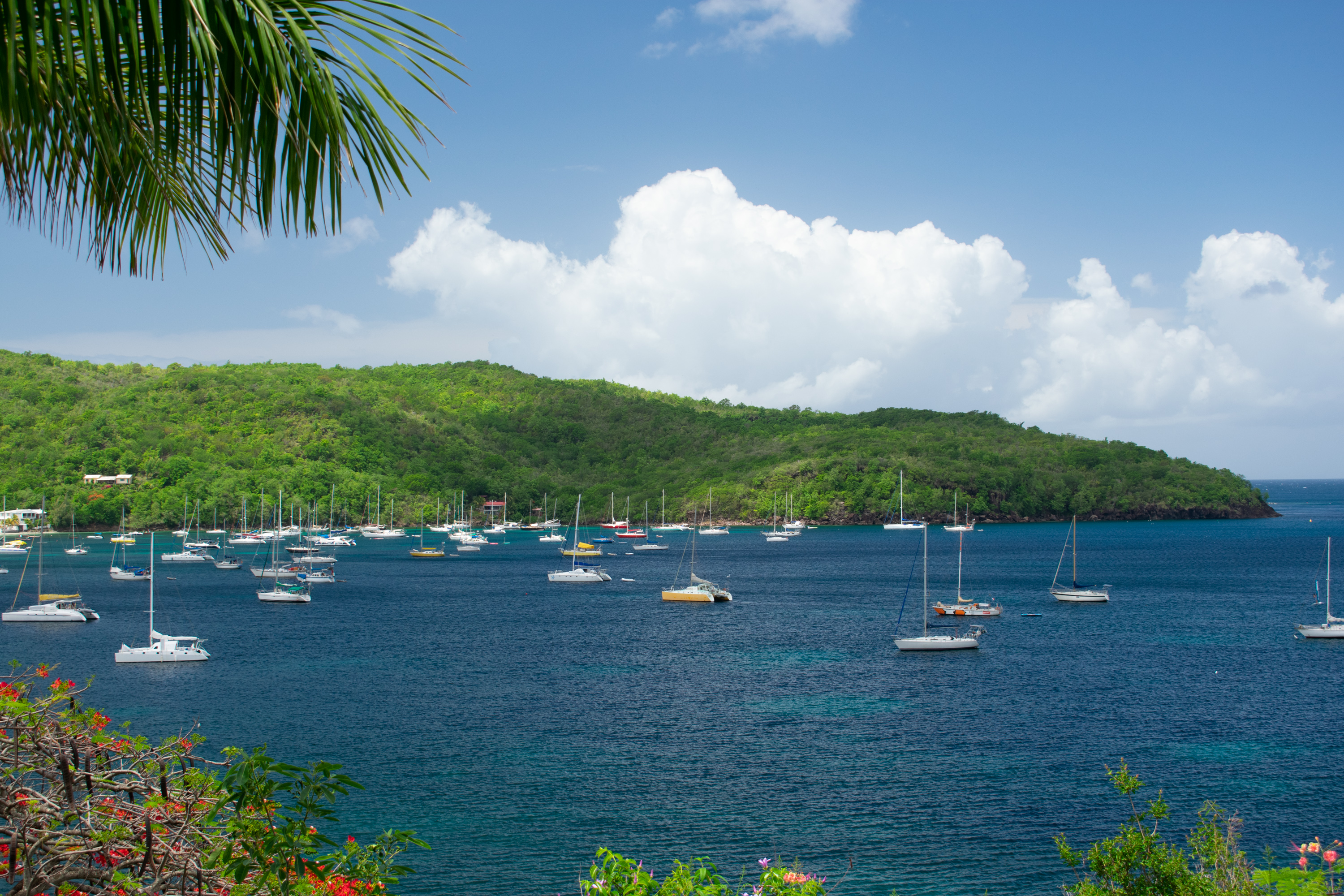 Grande Anse-d'Arlet Bay