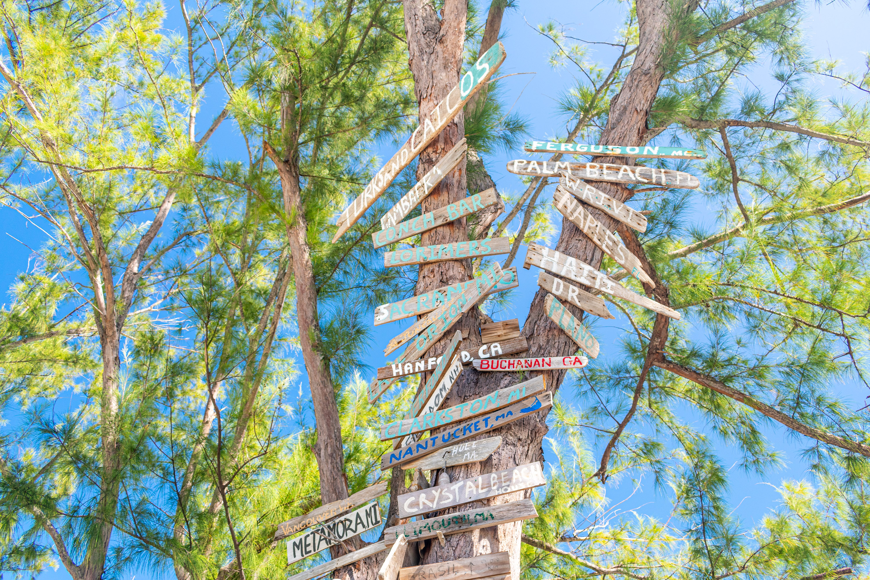 Bambarra Beach Australian Pines Signpost