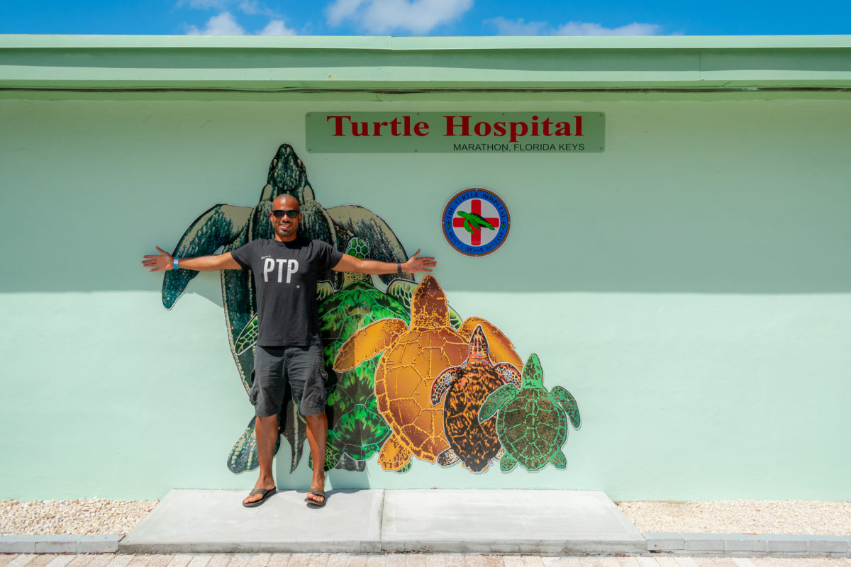 Turtle Hospital in Marathon, Florida Keys