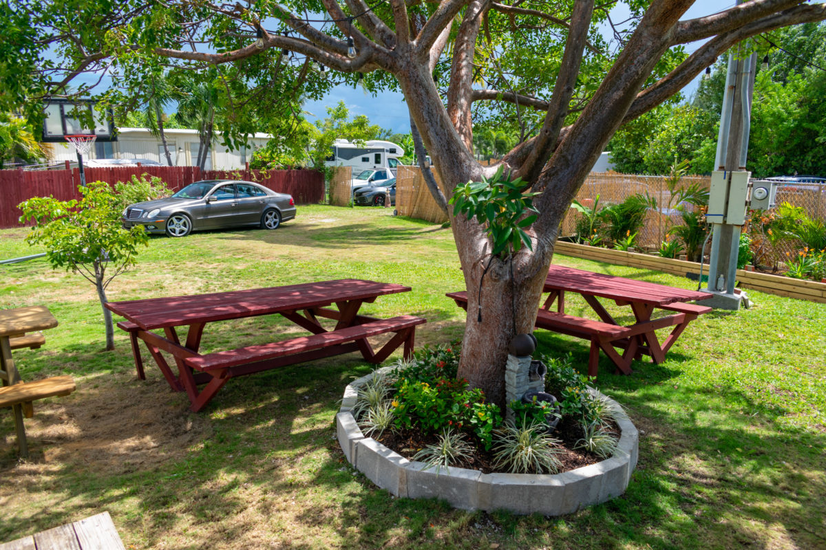 Yahman's Jerk Shack Yard