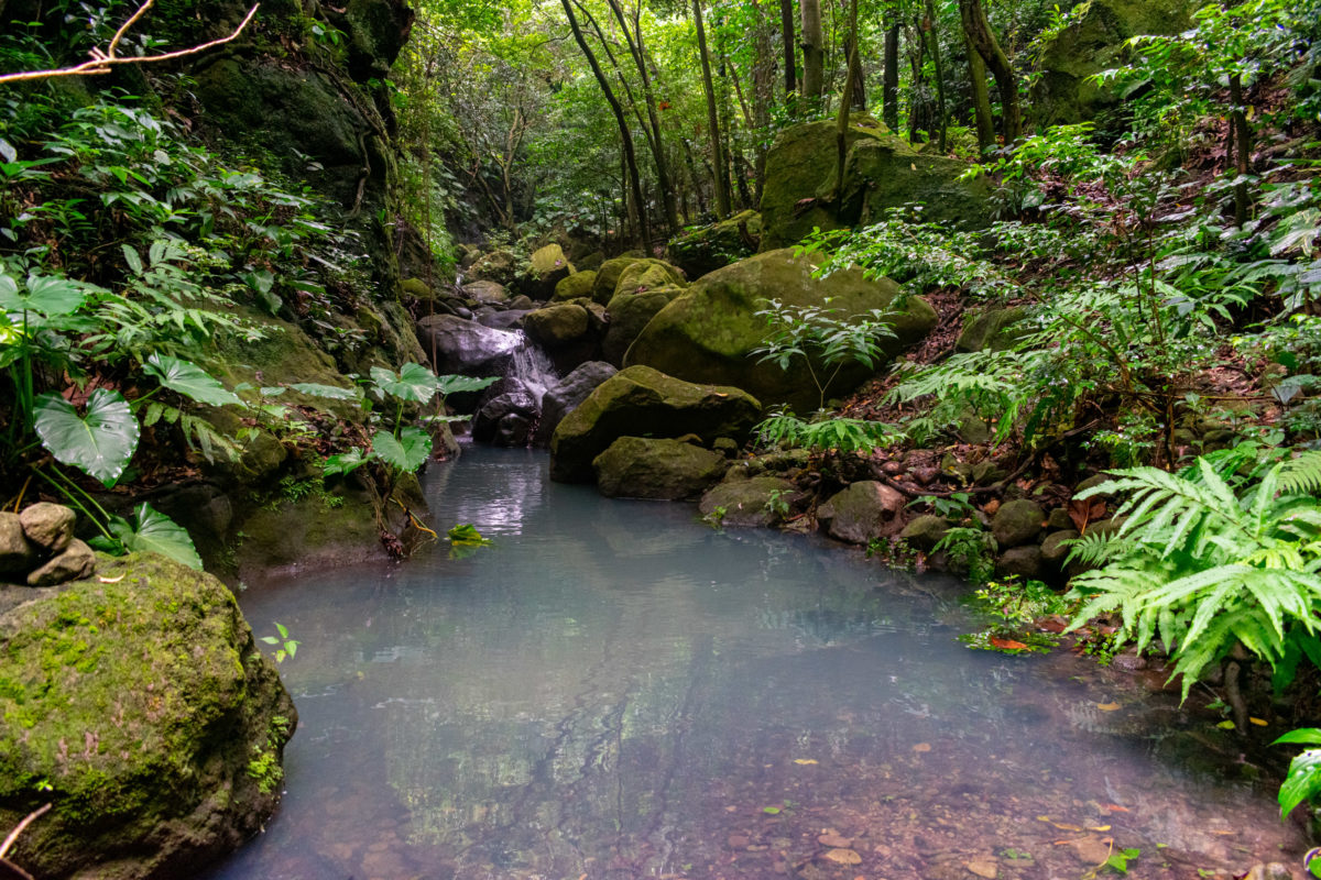 Hiking the wilds of Montserrat